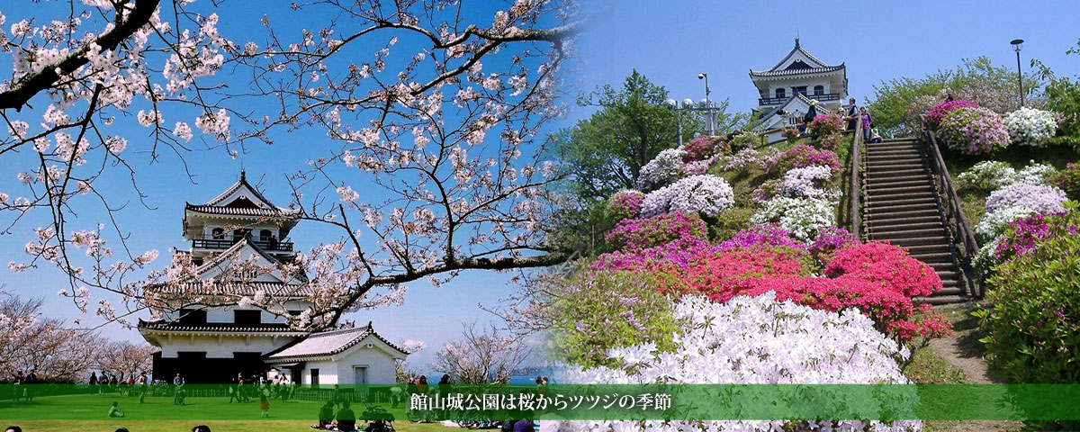 館山城公園は桜からツツジの季節