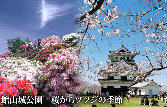館山城公園は桜からツツジの季節