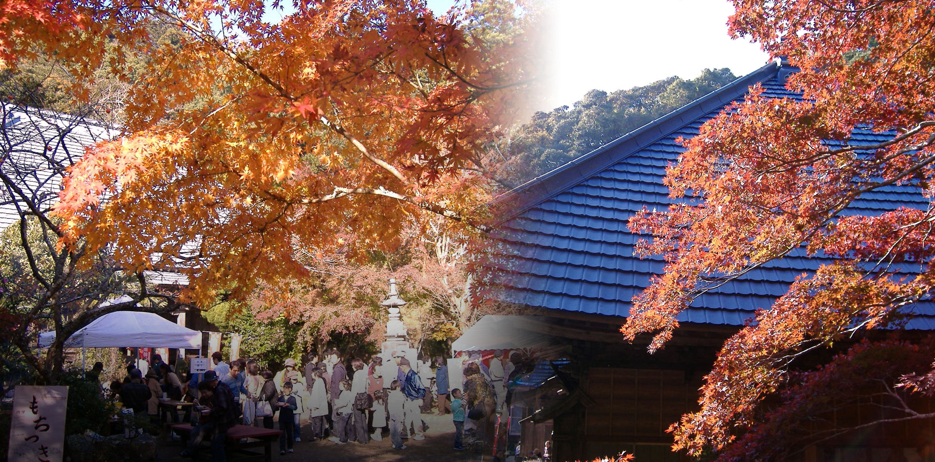 11月中旬～12月中旬　千倉町小松寺の紅葉が見頃