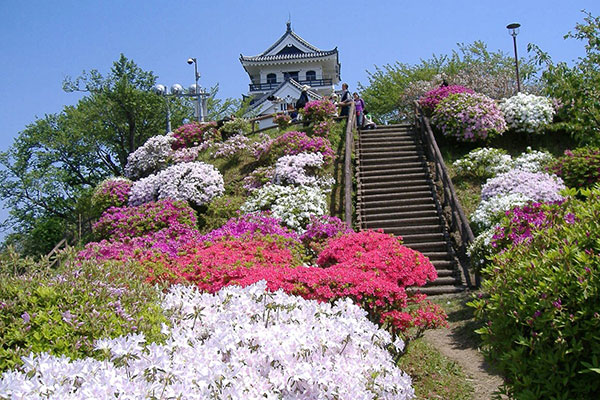 城山公園のツツジ