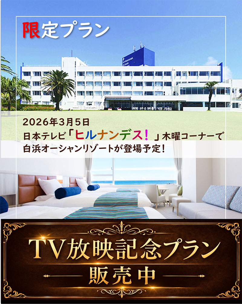 日本テレビ「ヒルナンデス！」木曜コーナーで当ホテルが紹介されました。